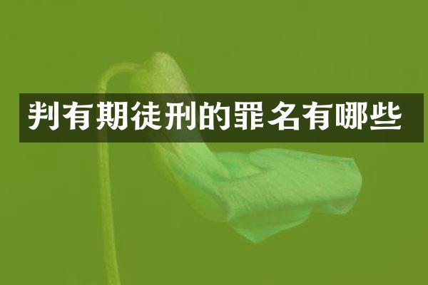 判有期徒刑的罪名有哪些
