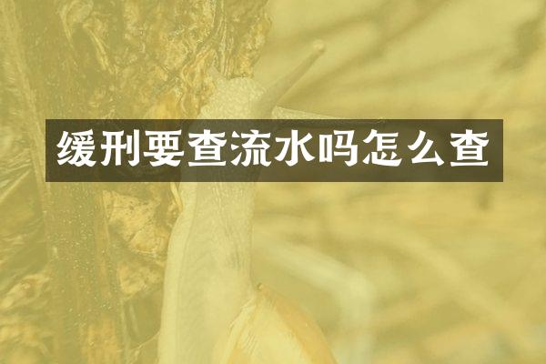 缓刑要查流水吗怎么查