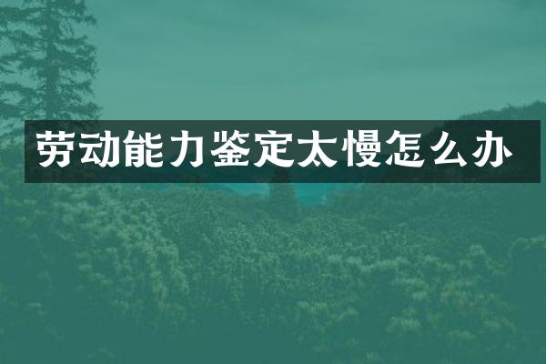 劳动能力鉴定太慢怎么办