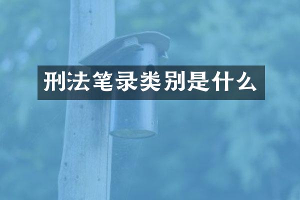刑法笔录类别是什么