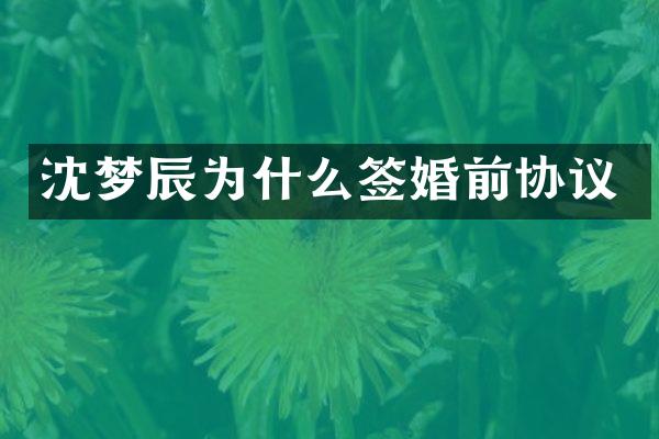 沈梦辰为什么签婚前协议