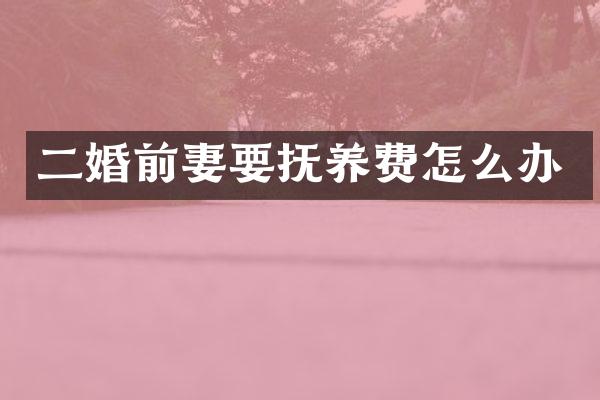 二婚前妻要抚养费怎么办