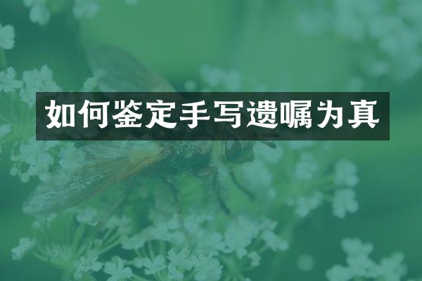 如何鉴定手写遗嘱为真
