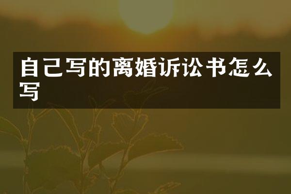 自己写的离婚诉讼书怎么写