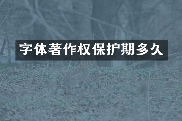 字体著作权保护期多久