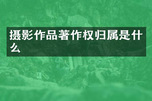 摄影作品著作权归属是什么