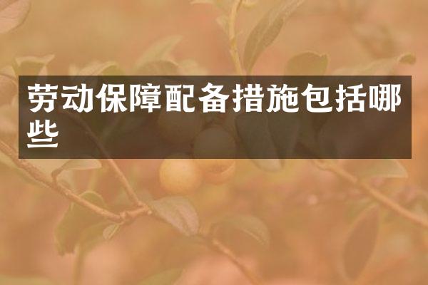 劳动保障配备措施包括哪些
