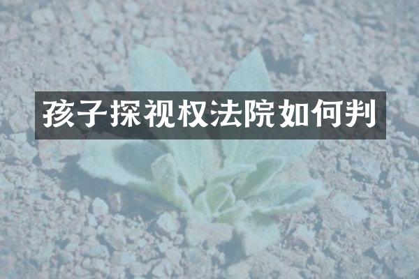 孩子探视权法院如何判