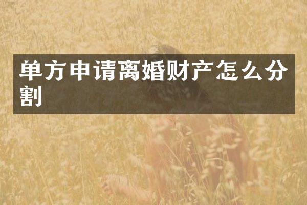 单方申请离婚财产怎么分割