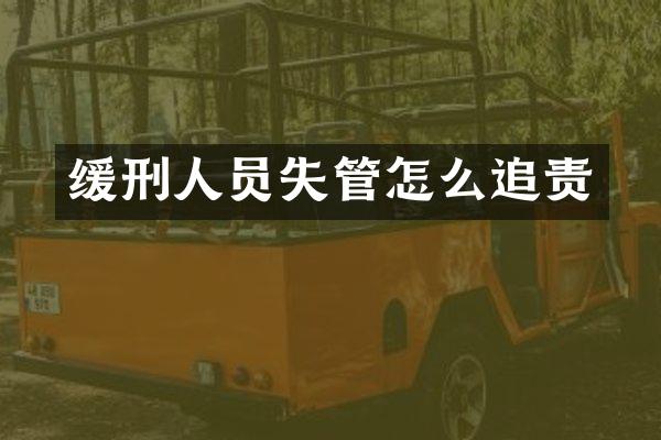 缓刑人员失管怎么追责