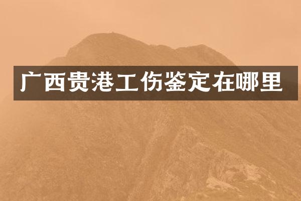 广西贵港工伤鉴定在哪里