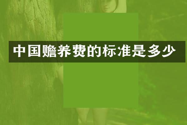 中国赡养费的标准是多少