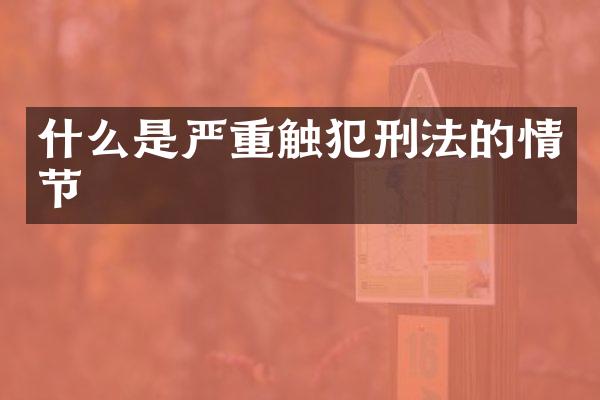 什么是严重触犯刑法的情节