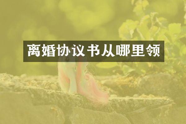 离婚协议书从哪里领