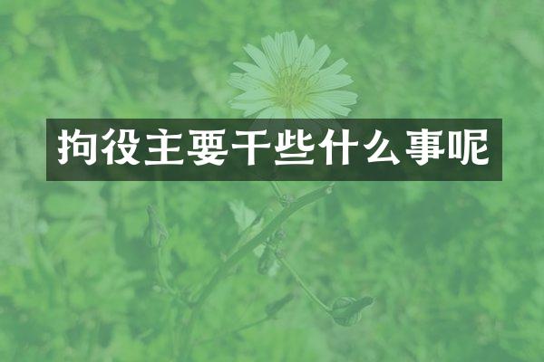 拘役主要干些什么事呢