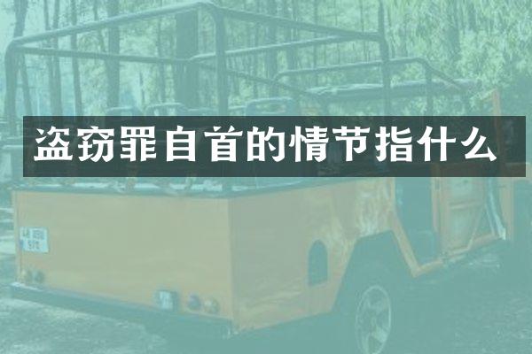 盗窃罪自首的情节指什么