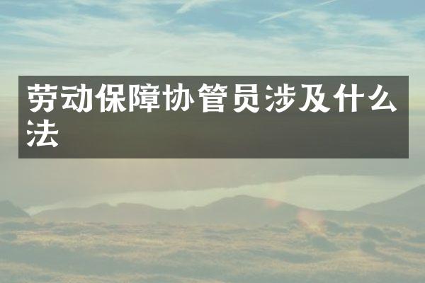 劳动保障协管员涉及什么法