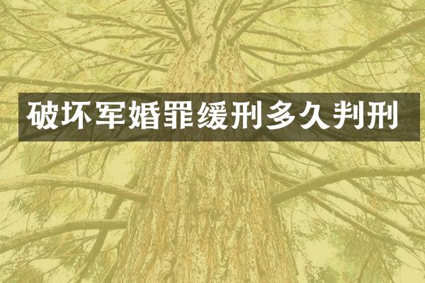 破坏罪缓刑多久判刑