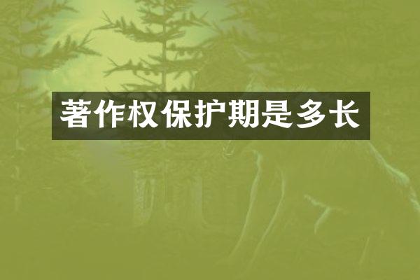 著作权保护期是多长