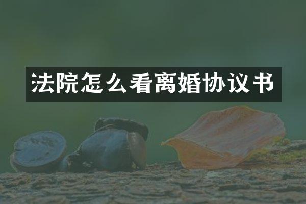 法院怎么看离婚协议书