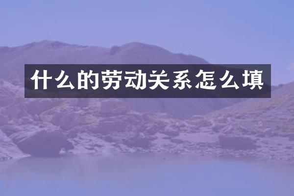 什么的劳动关系怎么填