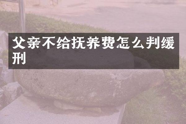 父亲不给抚养费怎么判缓刑