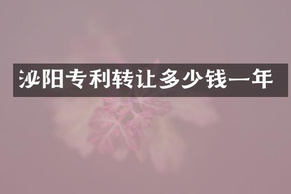 泌阳专利转让多少钱一年