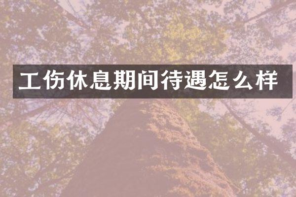 工伤休息期间待遇怎么样