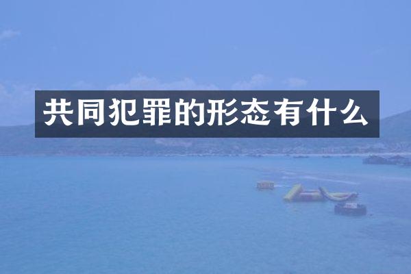 共同犯罪的形态有什么