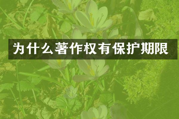 为什么著作权有保护期限