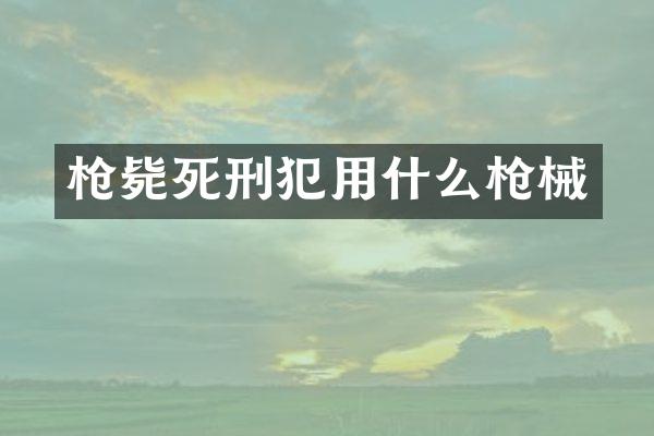 毙死刑犯用什么