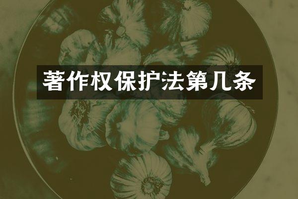 著作权保护法第几条