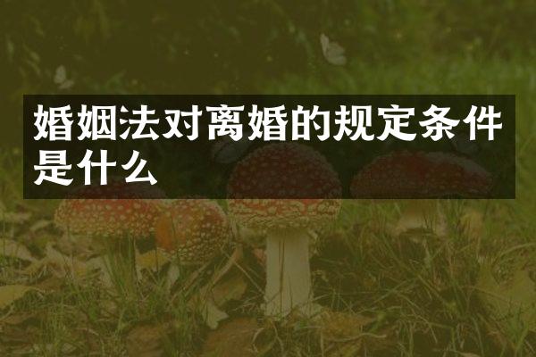 婚姻法对离婚的规定条件是什么