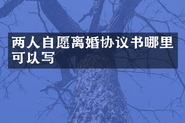 两人自愿离婚协议书哪里可以写