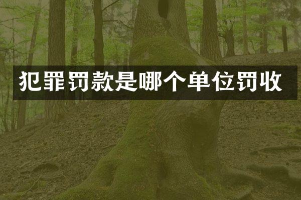 犯罪罚款是哪个单位罚收