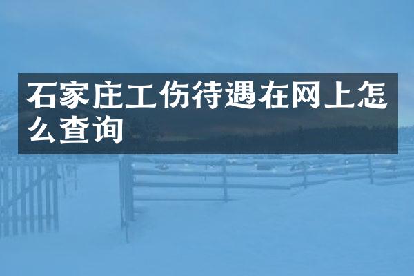 石家庄工伤待遇在网上怎么查询