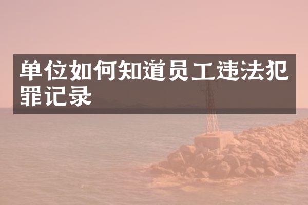 单位如何知道员工违法犯罪记录