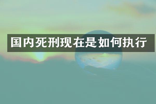 国内死刑现在是如何执行