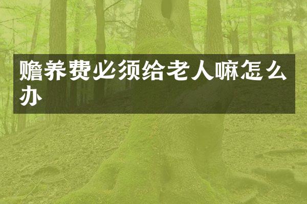 赡养费必须给老人嘛怎么办