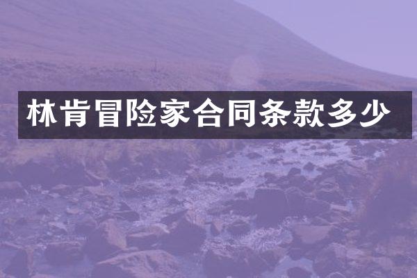 林肯冒险家合同条款多少