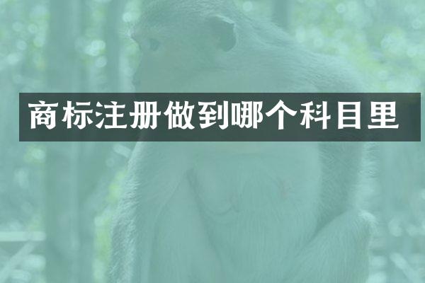 商标注册做到哪个科目里