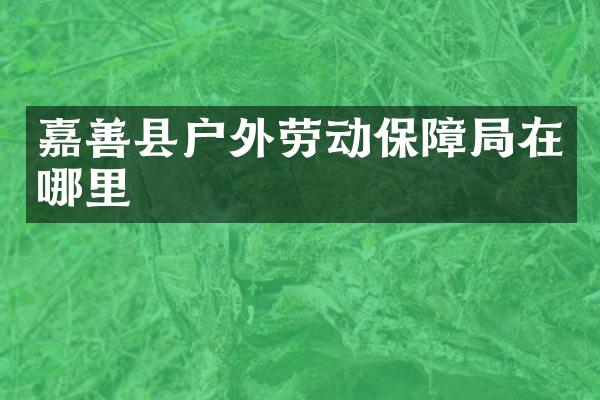 嘉善县户外劳动保障局在哪里