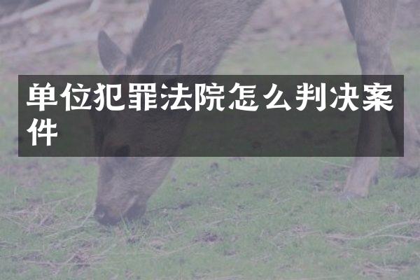 单位犯罪法院怎么判决案件