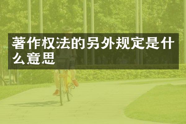 著作权法的另外规定是什么意思