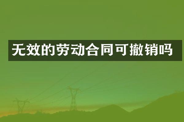 无效的劳动合同可撤销吗