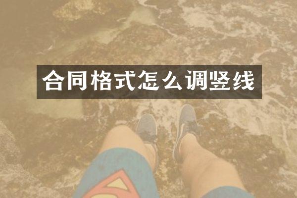 合同格式怎么调竖线
