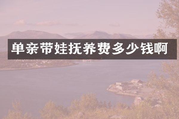 单亲带娃抚养费多少钱啊