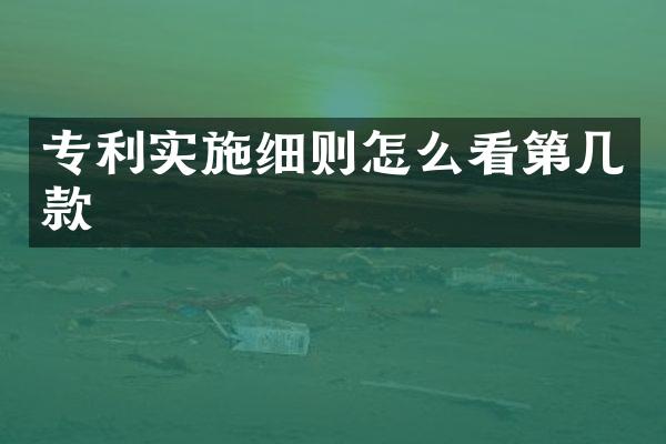 专利实施细则怎么看第几款