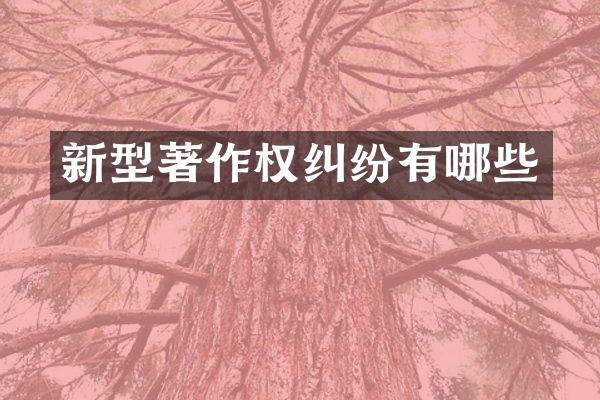 新型著作权纠纷有哪些