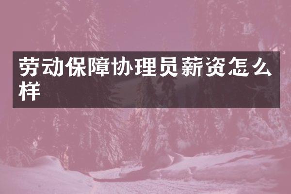 劳动保障协理员薪资怎么样